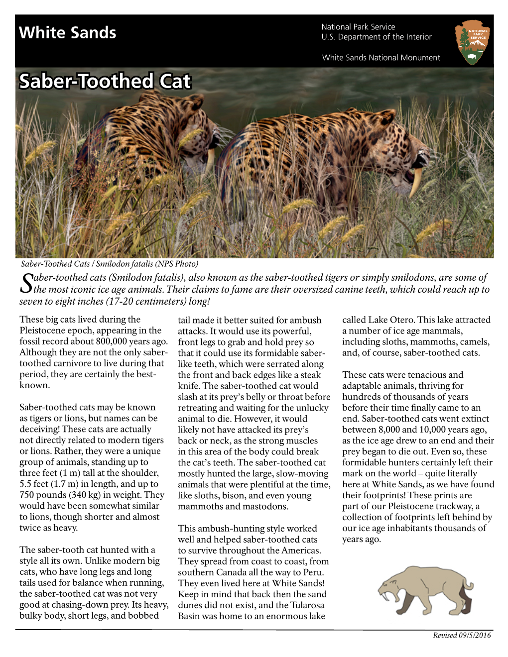 Saber-Toothed Cat