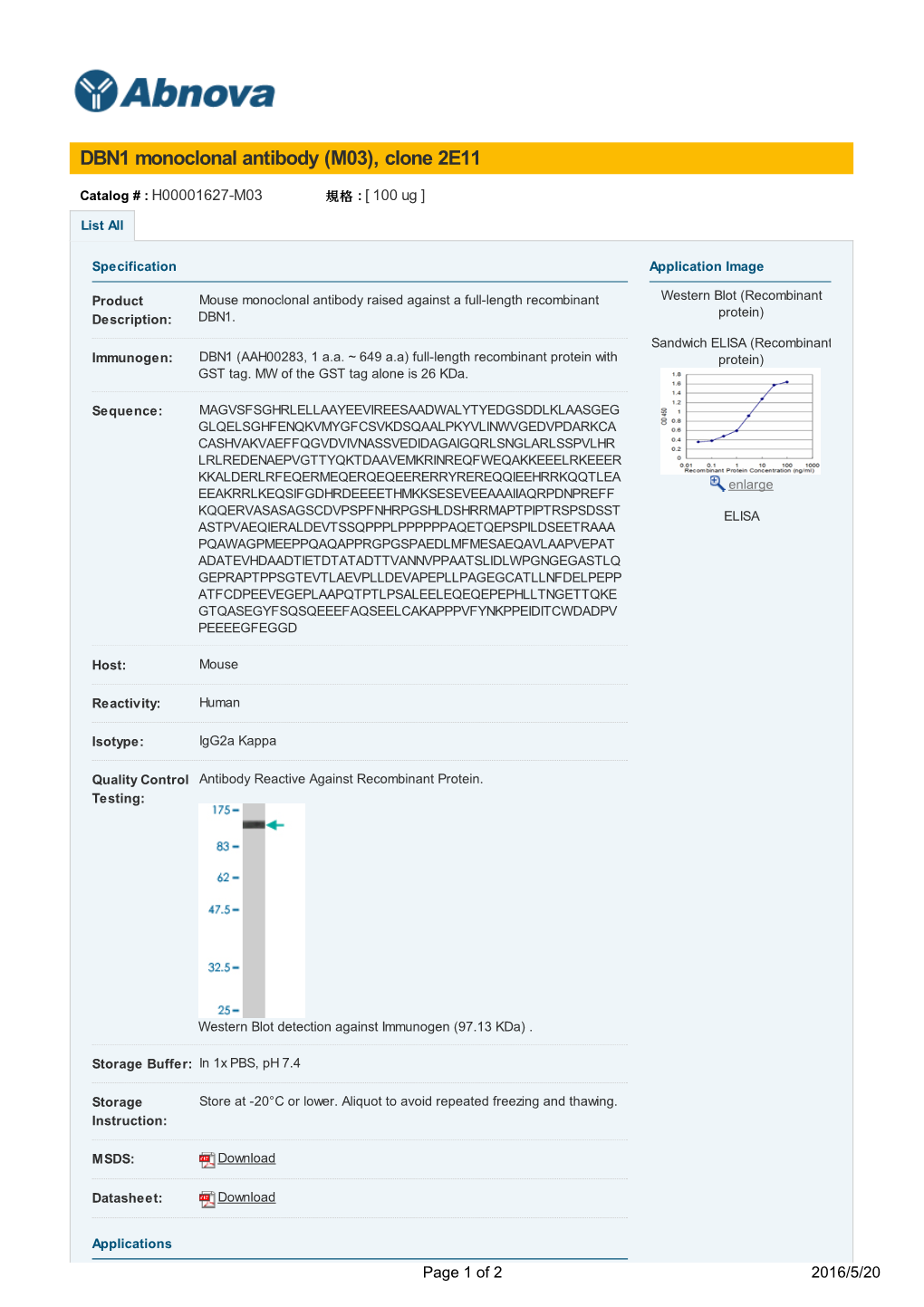 DBN1 Monoclonal Antibody (M03), Clone 2E11