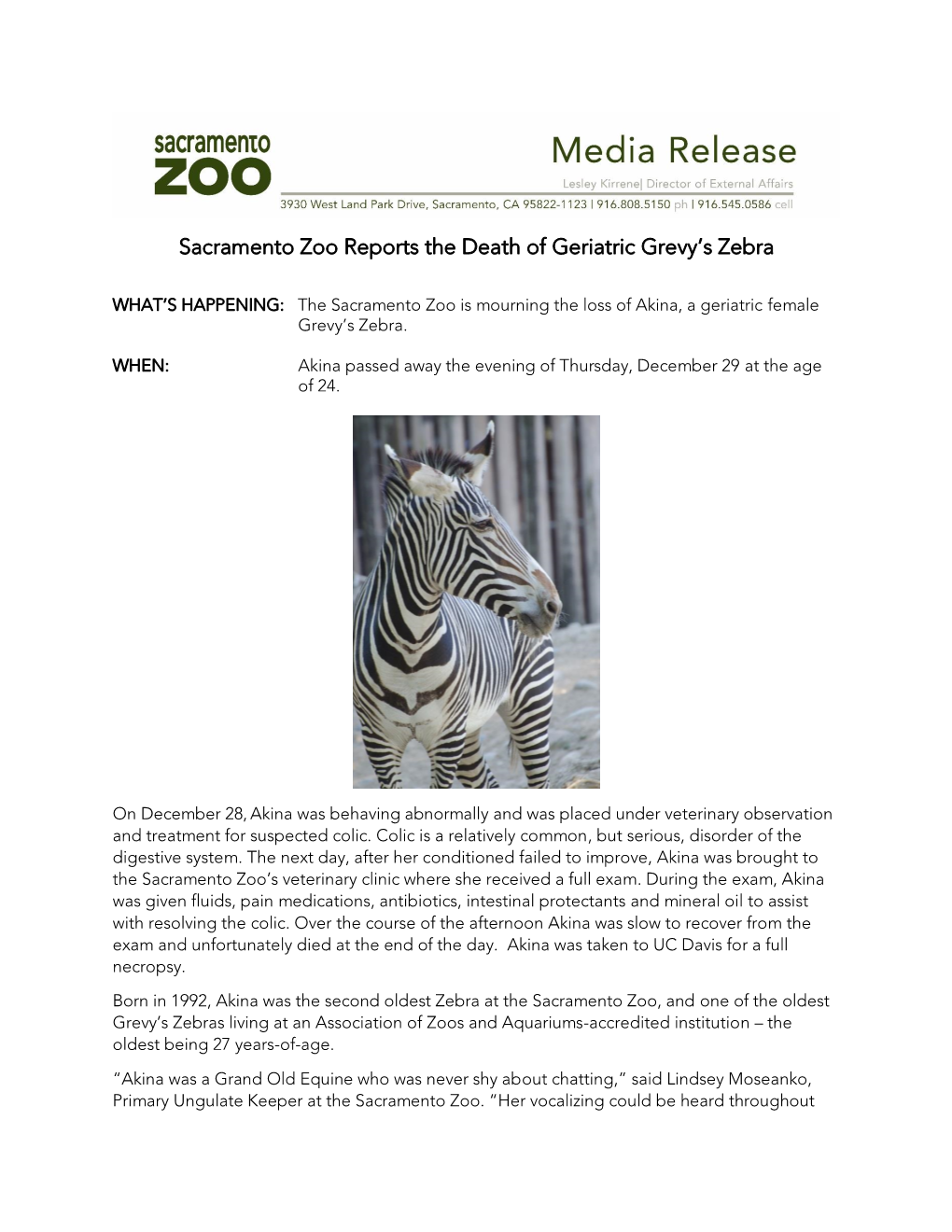 Sacramento Zoo Reports the Death of Geriatric Grevy's Zebra