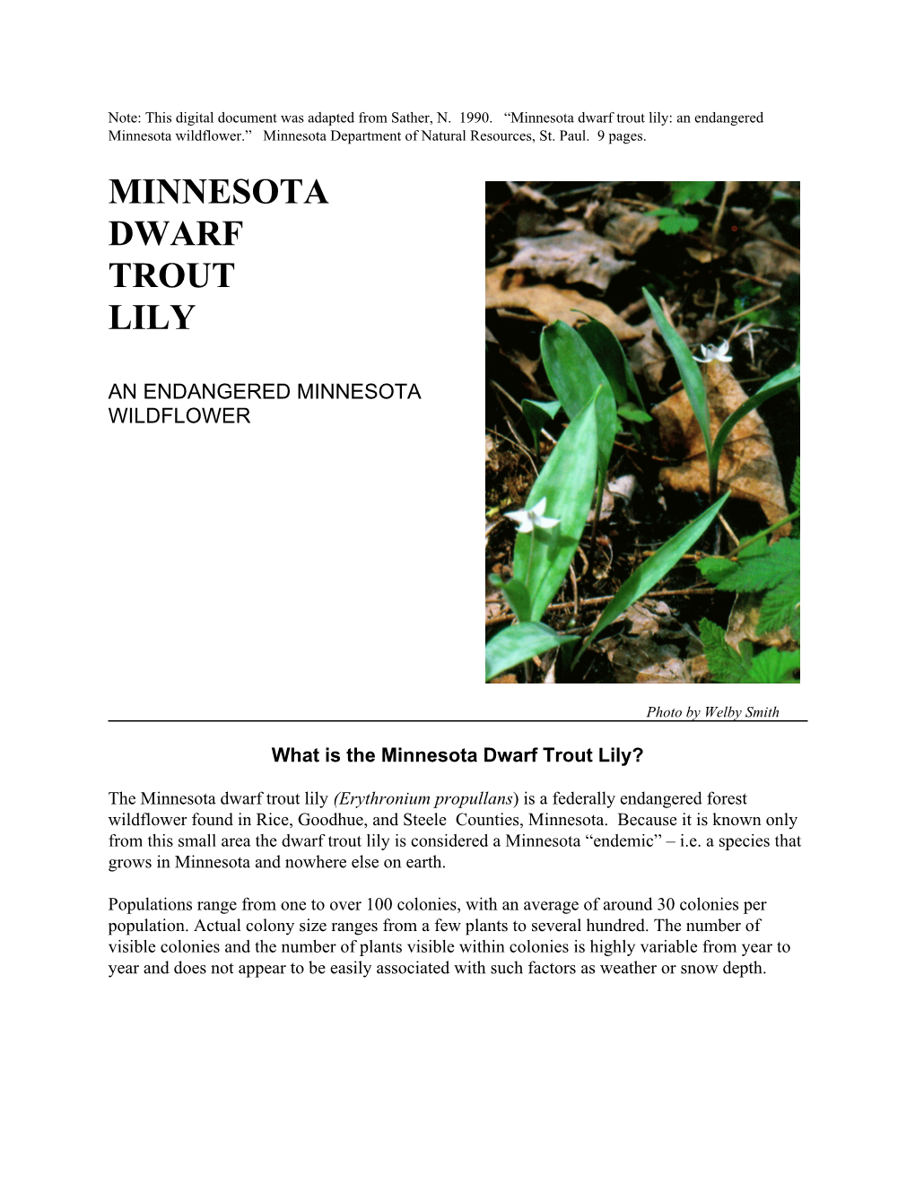 Minnesota Dwarf Trout Lily: an Endangered Minnesota Wildflower.” Minnesota Department of Natural Resources, St