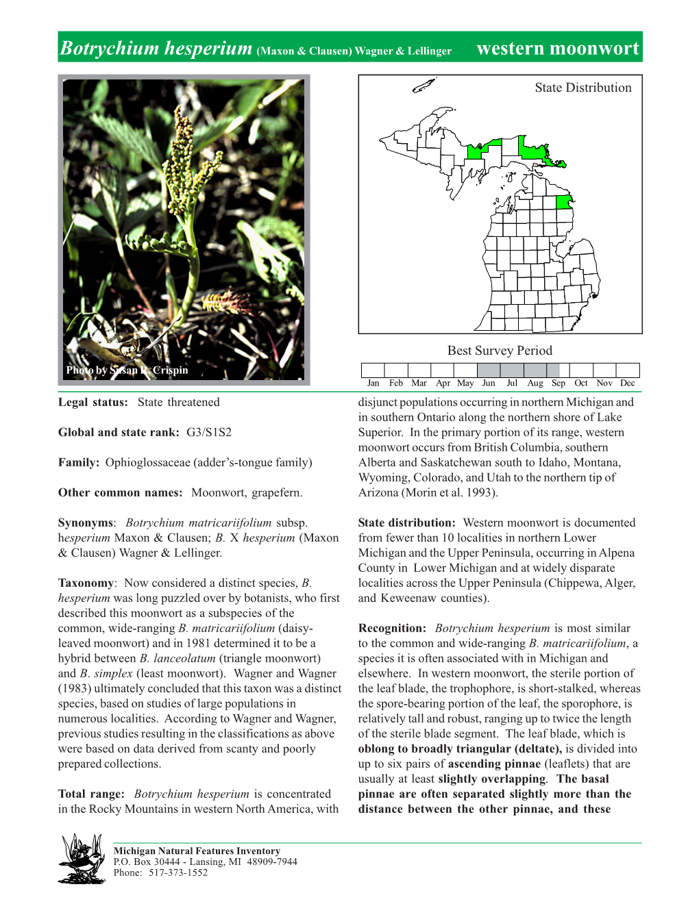 Botrychium Hesperium (Maxon & Clausen) Wagner & Lellinger Western Moonwort