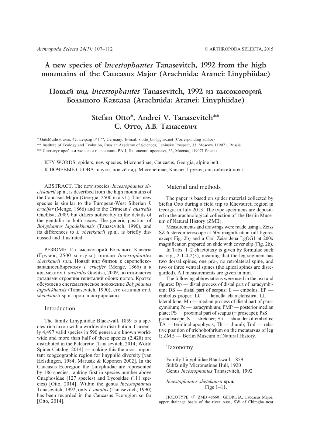 A New Species of Incestophantes Tanasevitch, 1992 from the High Mountains of the Caucasus Major (Arachnida: Aranei: Linyphiidae)