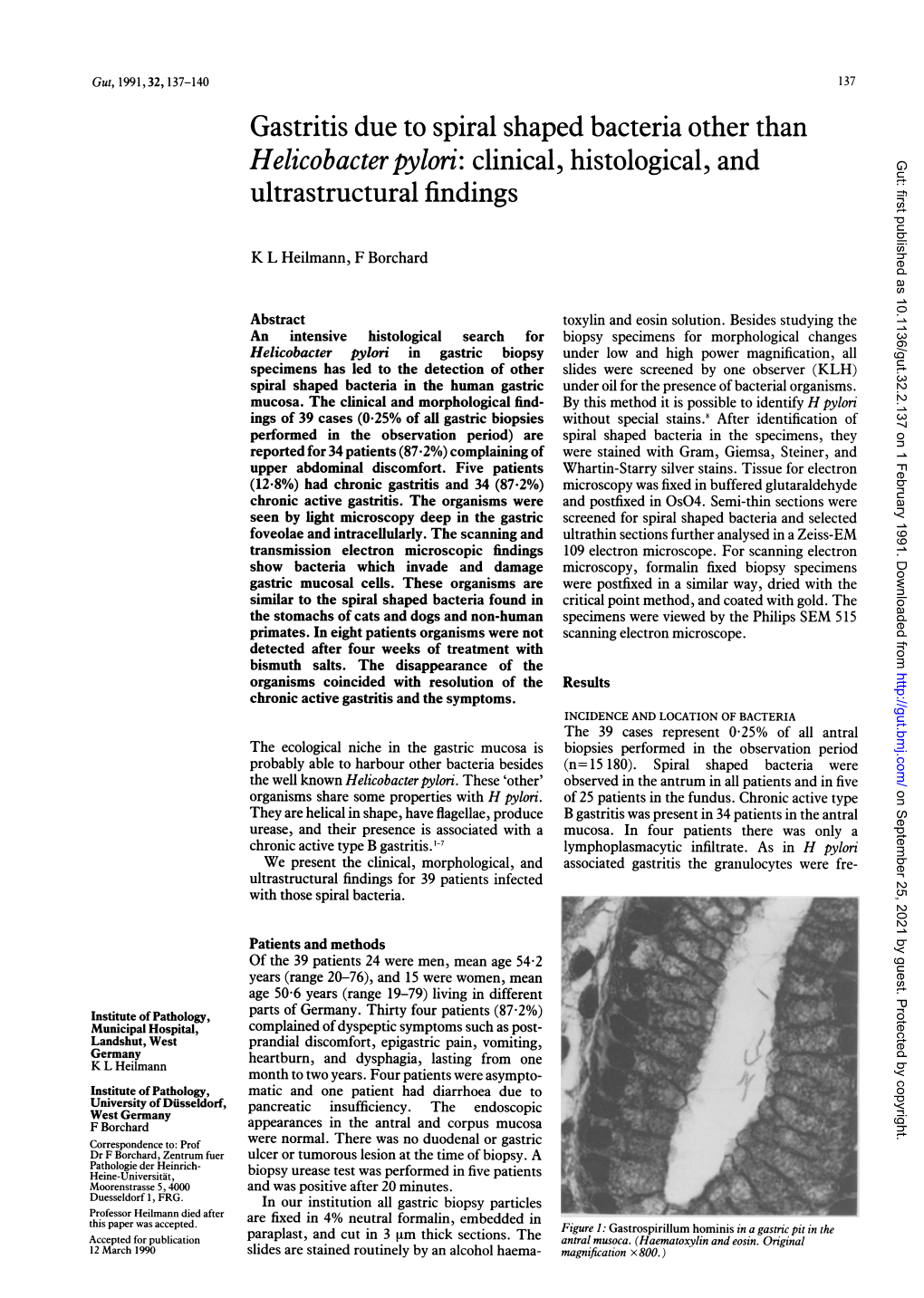 Helicobacter Pylori