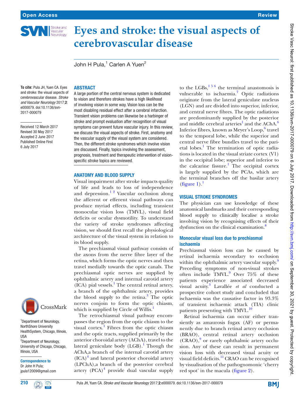 Eyes and Stroke: the Visual Aspects of Cerebrovascular Disease