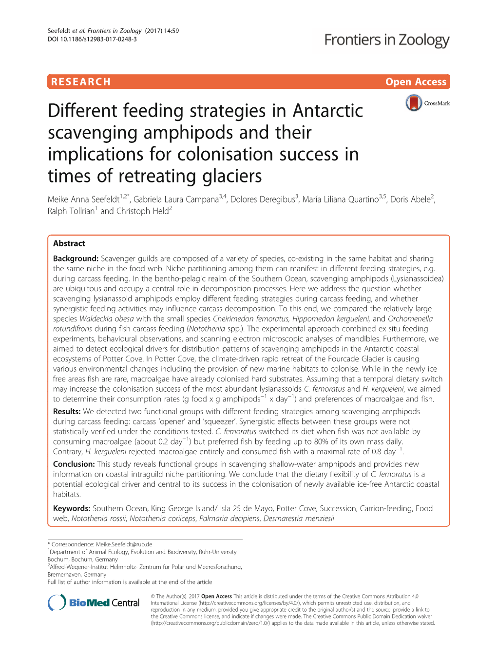 Different Feeding Strategies in Antarctic Scavenging Amphipods and Their