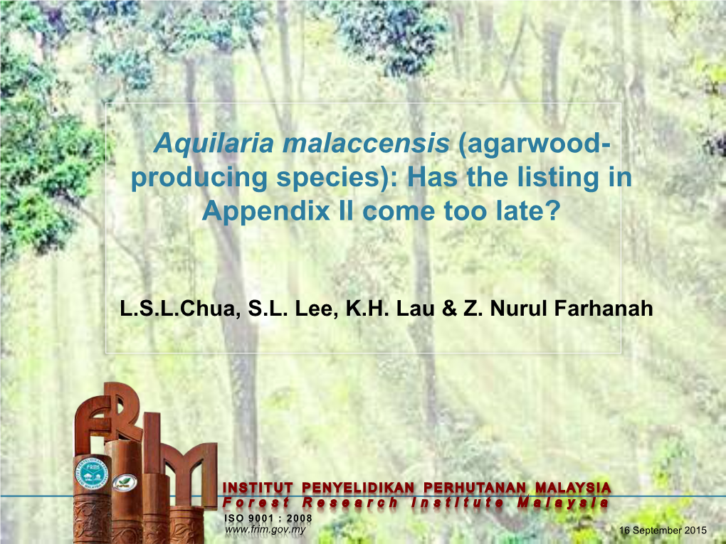 Aquilaria Malaccensis (Agarwood- Producing Species): Has the Listing in Appendix II Come Too Late?