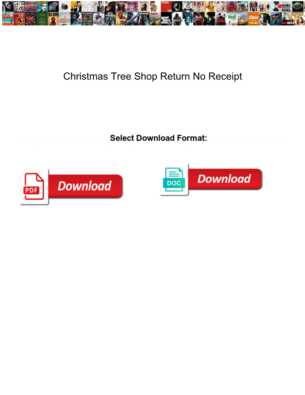 Christmas Tree Shop Return No Receipt