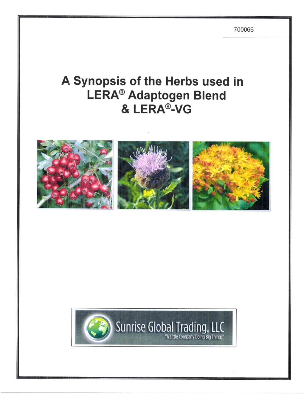A Synopsis of the Herbs Used in LERA@ Adaptogen Blend & LERA@.VG a Synopsis of the Herbs Used in LERA@ Adaptogen Blend & LERA@-VG