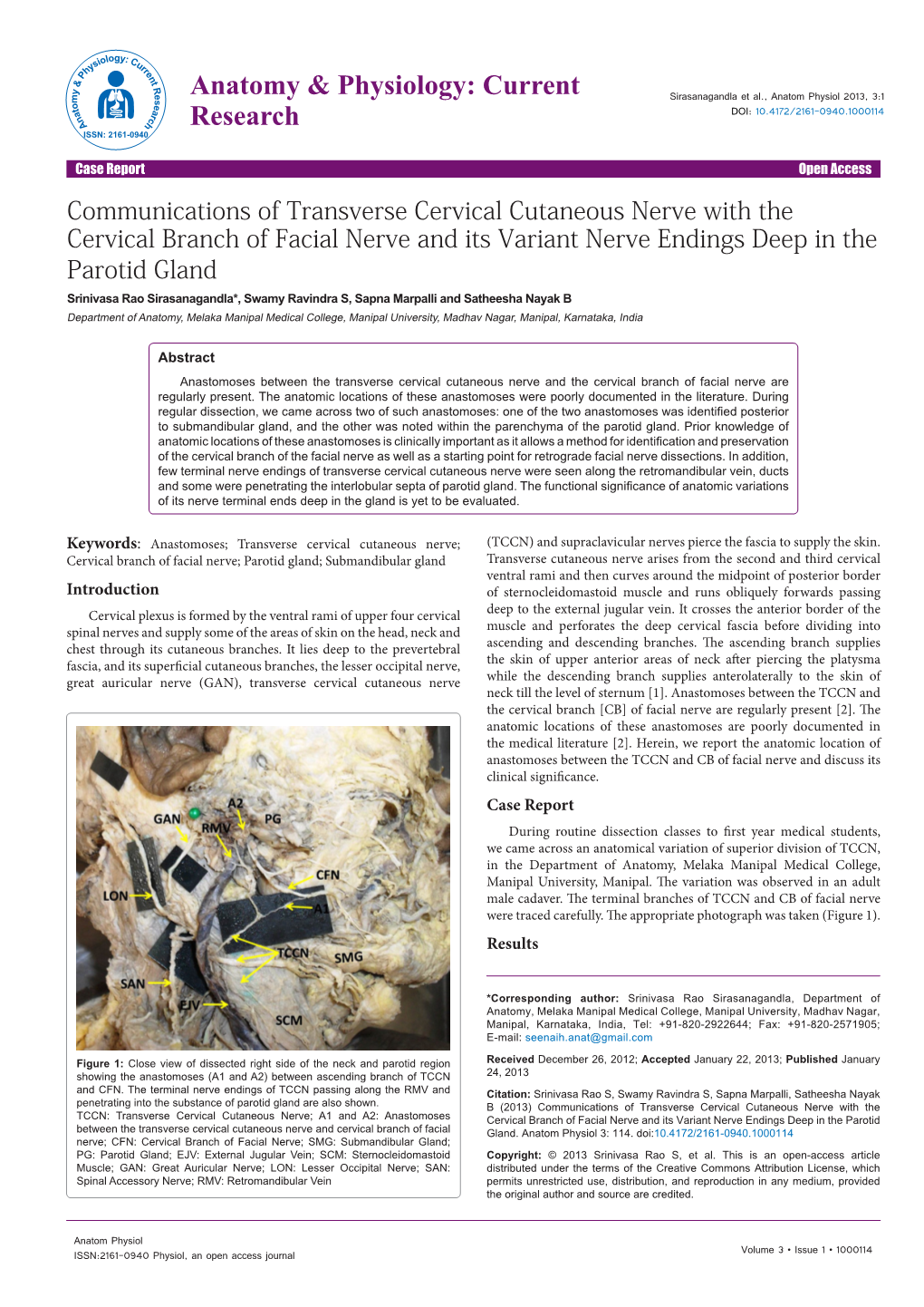 Communications of Transverse Cervical Cutaneous Nerve with the Cervical Branch of Facial Nerve and Its Variant Nerve Endings