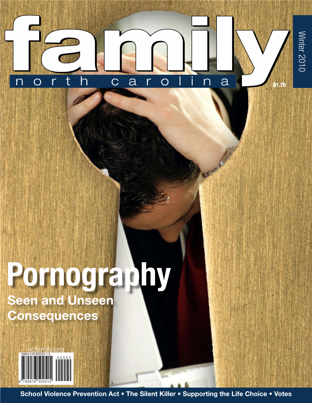Pornography Seen and Unseen Consequences