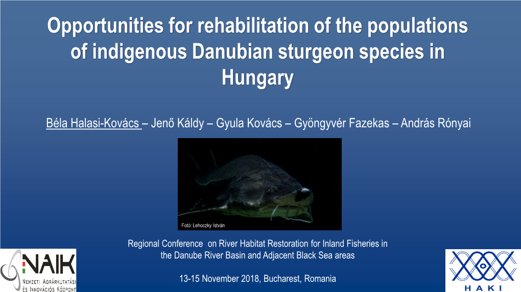 Opportunities for Rehabilitation of the Populations of Indigenous Danubian Sturgeon Species in Hungary