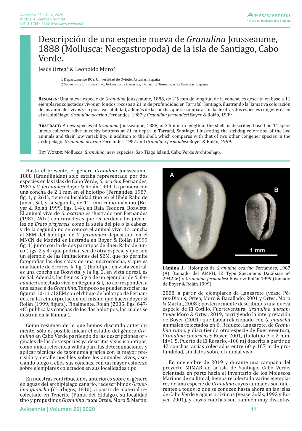 Descripción De Una Especie Nueva De Granulina Jousseaume, 1888 (Mollusca: Neogastropoda) De La Isla De Santiago, Cabo Verde