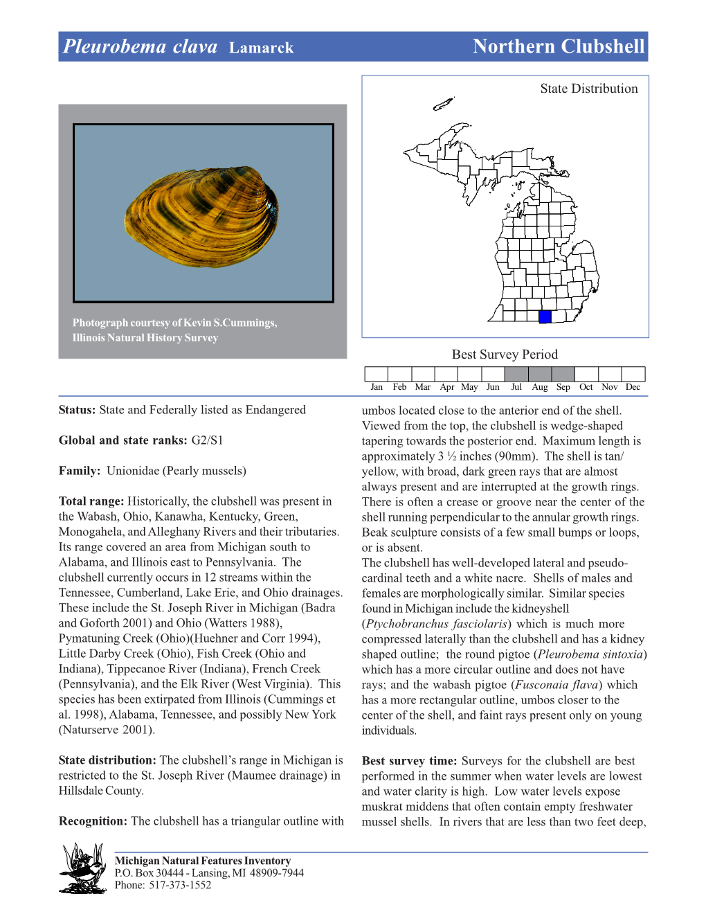 Pleurobema Clava Lamarck Northern Northern Clubshell Clubshell, Page 1