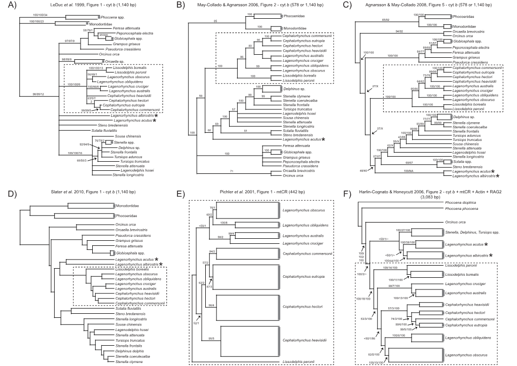 Figure2 Taxonomic Revision of the Dolphin Genus Lagenorhynchus