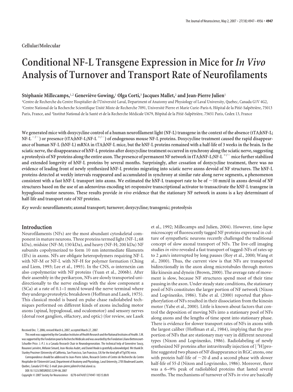 Conditional NF-L Transgene Expression in Mice Forin Vivo Analysis of Turnover and Transport Rate of Neurofilaments