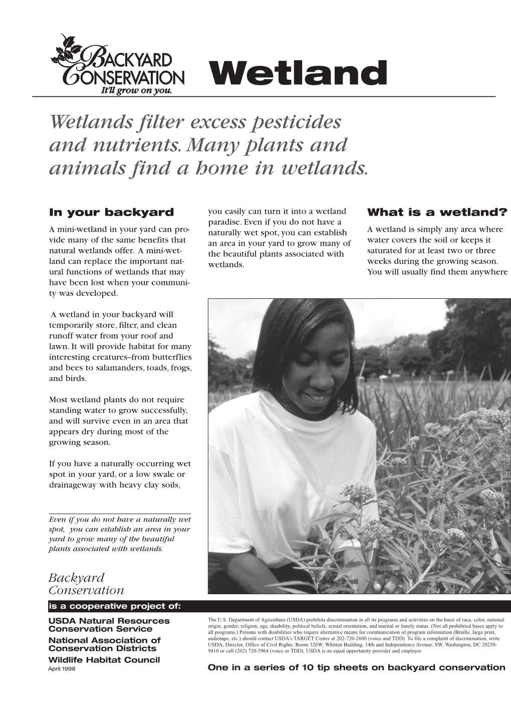 Wetland Tip Sheet-2.Q