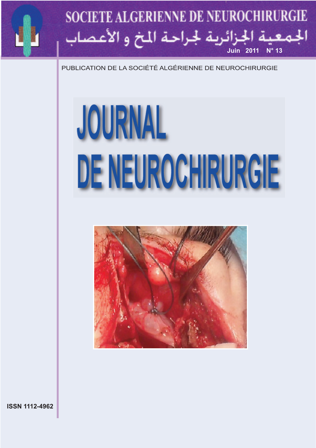 Journal De Neurochirurgie 2011 N°13