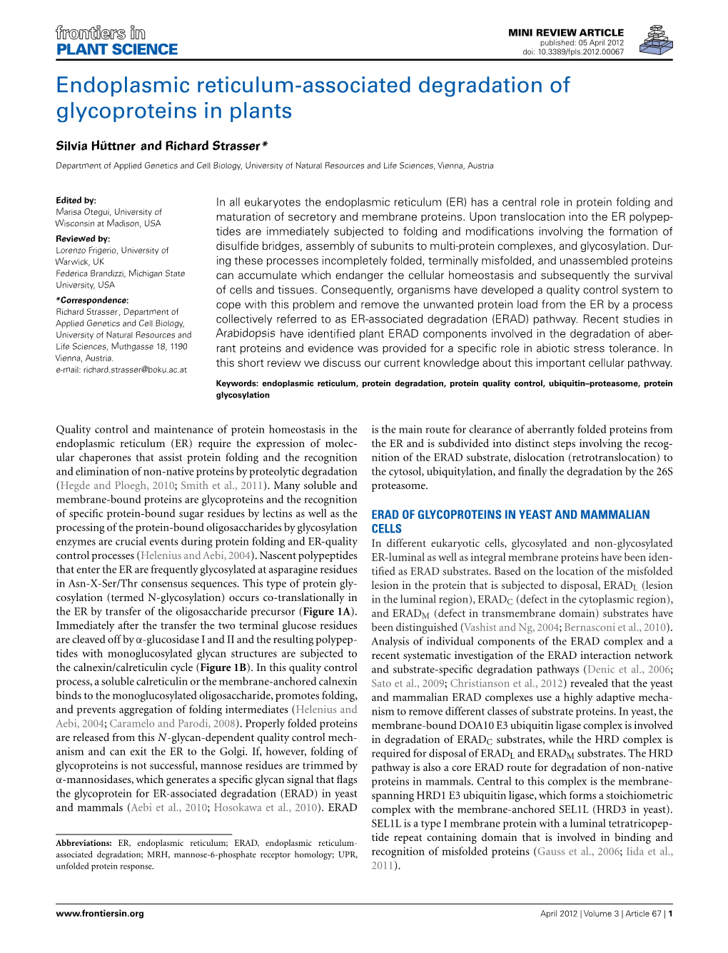 Endoplasmic Reticulum-Associated Degradation of Glycoproteins in Plants