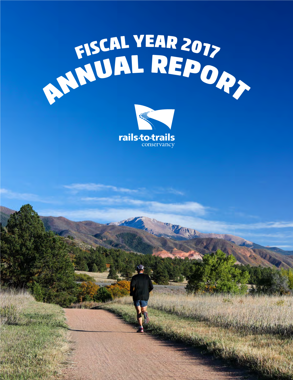 FY 2017 Annual Report