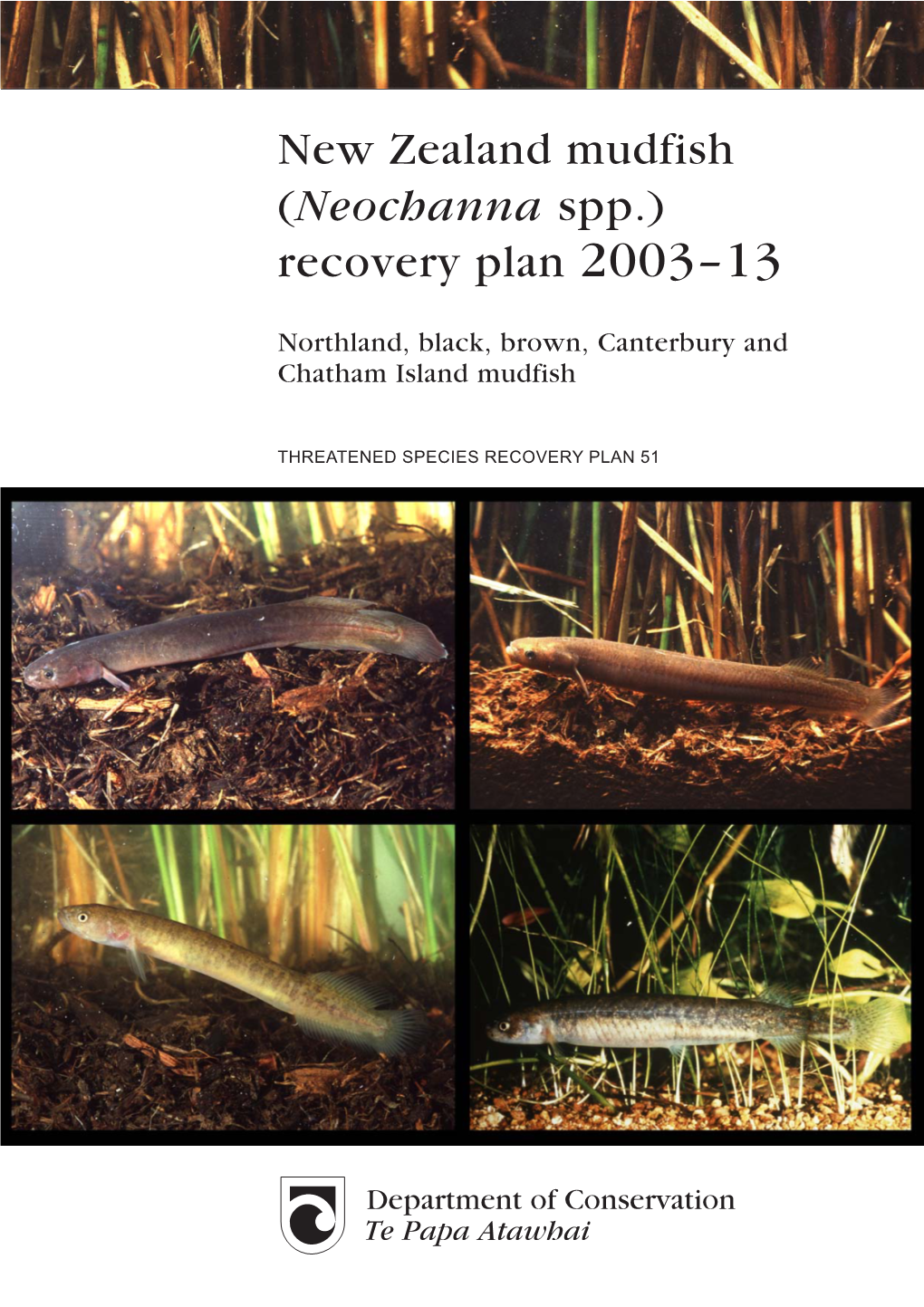 New Zealand Mudfish (Neochanna Spp.) Recovery Plan 2003–13