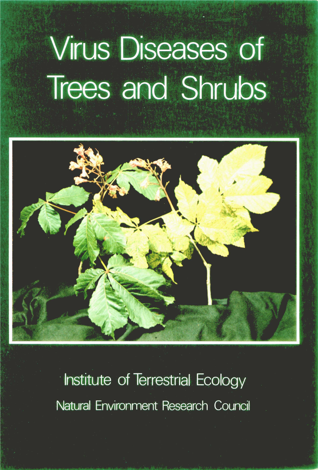 Virus Diseases of Trees and Shrubs