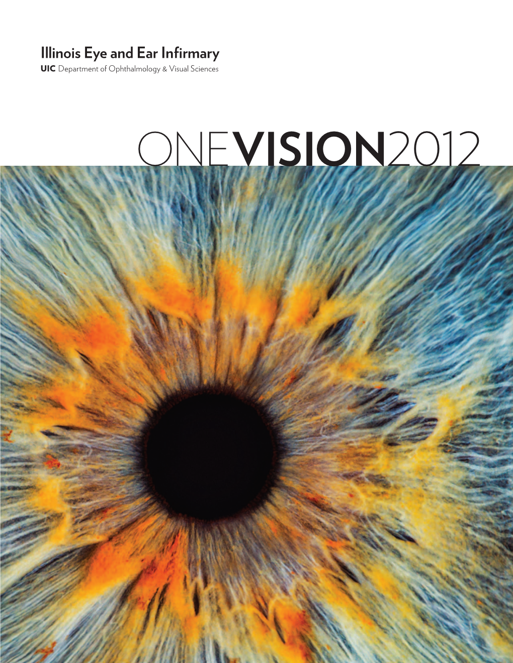 One Vision2012