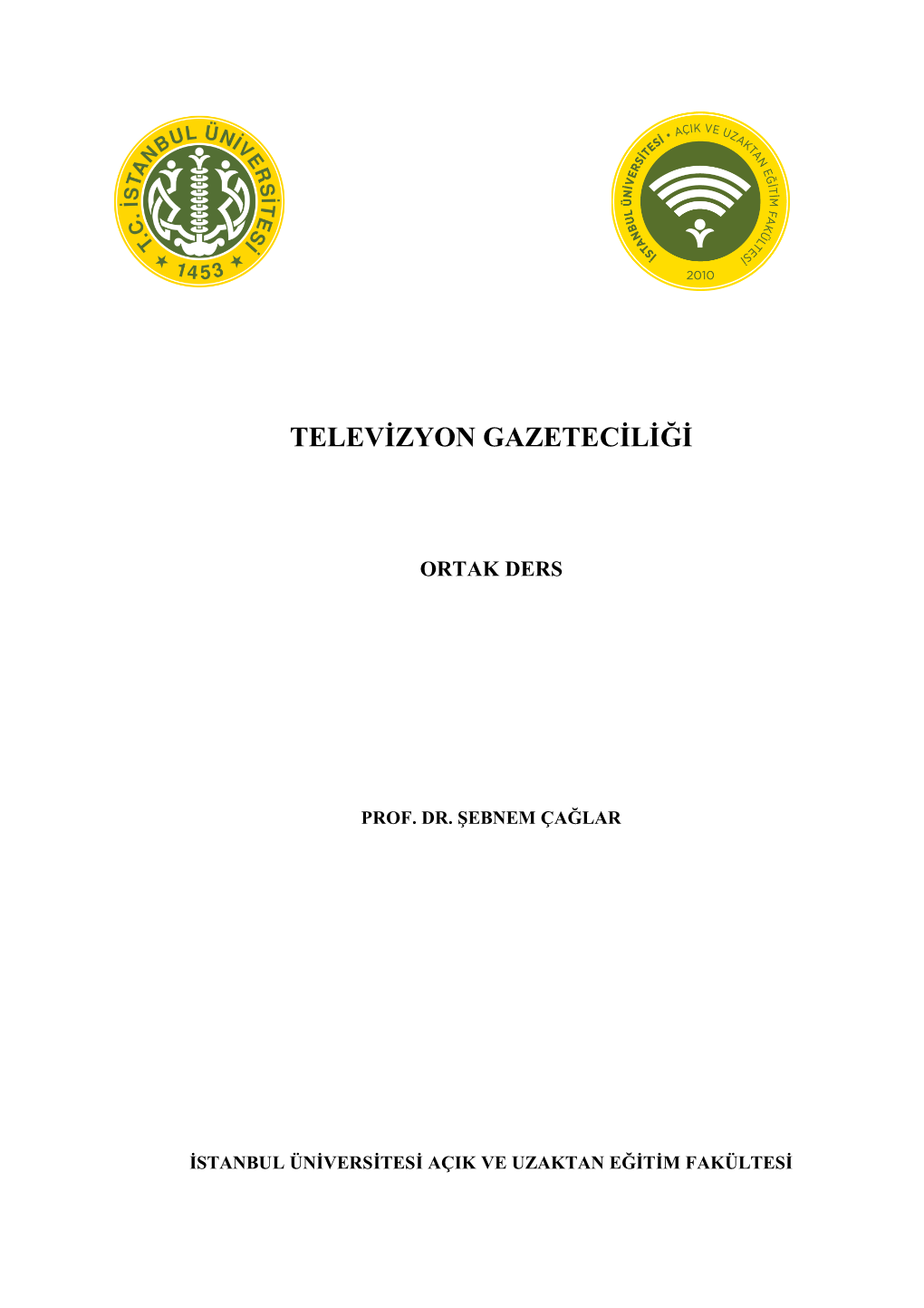 Televizyon Gazeteciliği