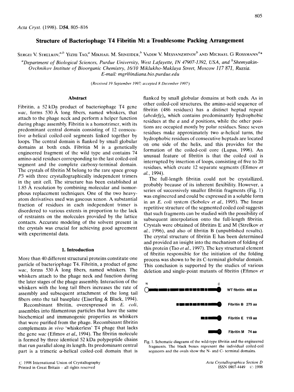 Structure of Bacteriophage T4 Fibritin M: a Troublesome Packing Arrangement