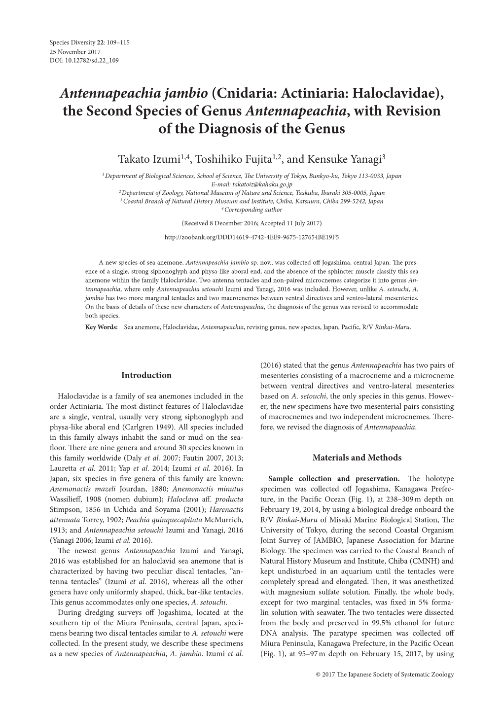 Antennapeachia Jambio (Cnidaria: Actiniaria: Haloclavidae), the Second Species of Genus Antennapeachia, with Revision of the Diagnosis of the Genus