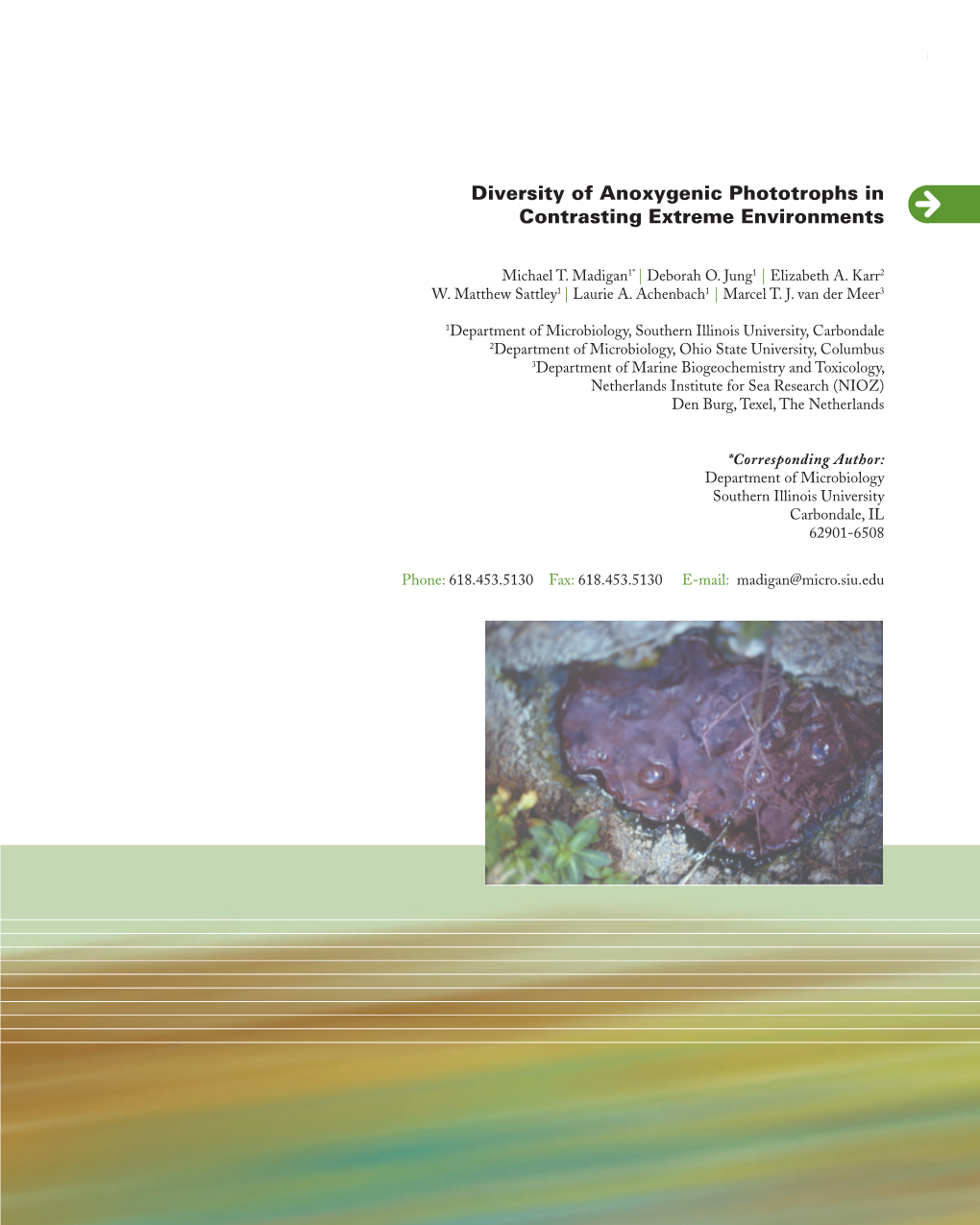 Diversity of Anoxygenic Phototrophs in Contrasting Extreme Environments