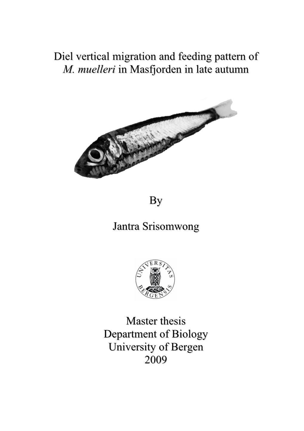 Diel Vertical Migration and Feeding Pattern of M. Muelleri in Masfjorden in Late Autumn