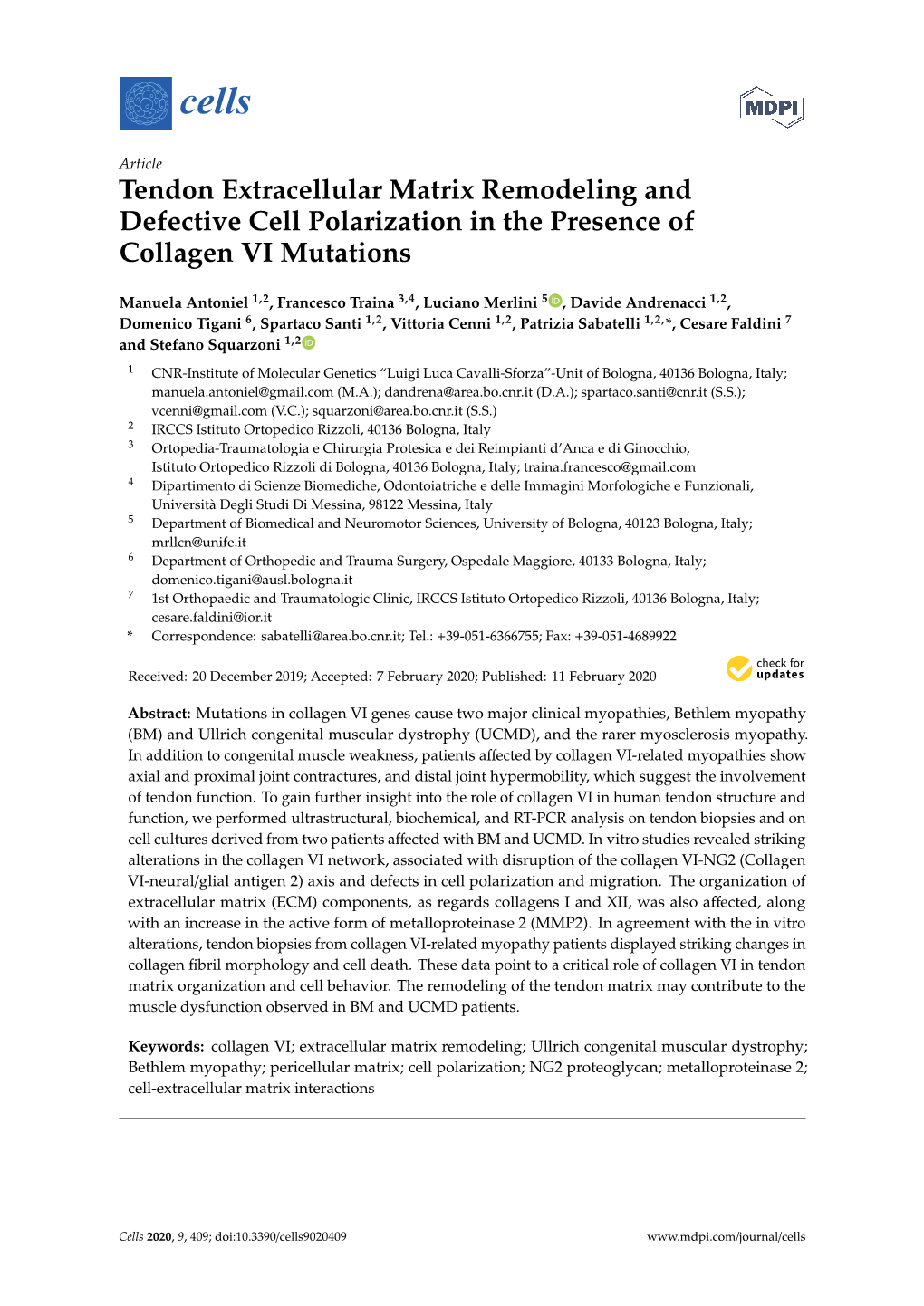 Tendon Extracellular Matrix Remodeling and Defective Cell Polarization in the Presence of Collagen VI Mutations