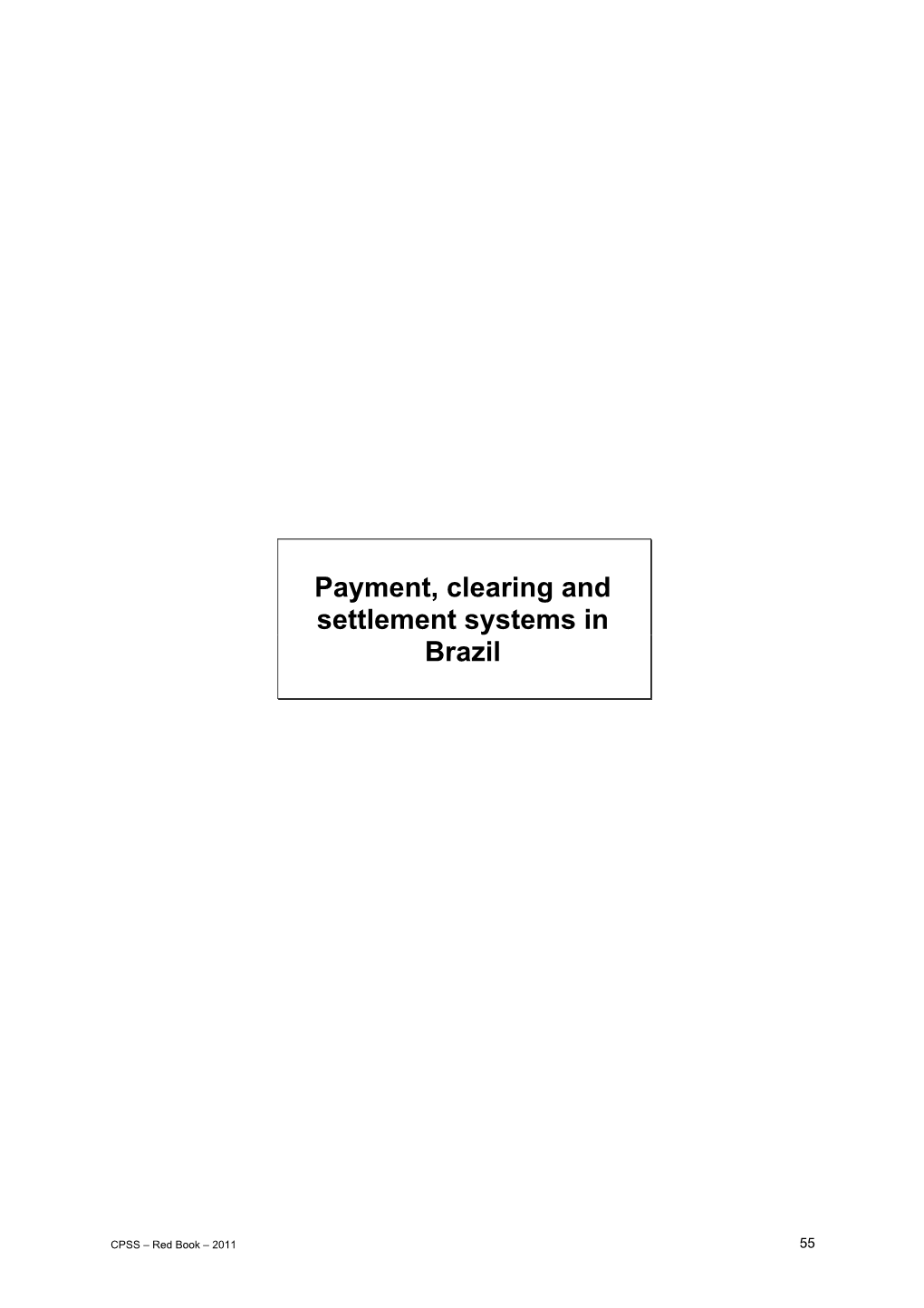 Payment, Clearing and Settlement Systems in Brazil