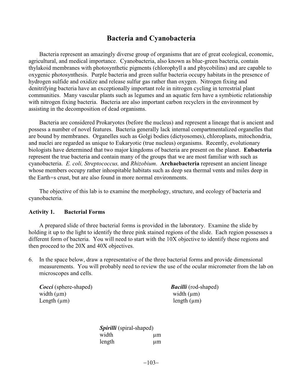 Bacteria and Cyanobacteria