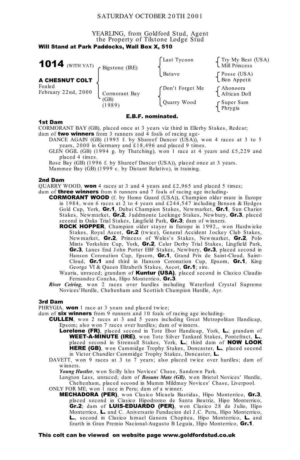 SATURDAY OCTOBER 20TH 2001 YEARLING, from Goldford Stud, Agent the Property of Tilstone Lodge Stud