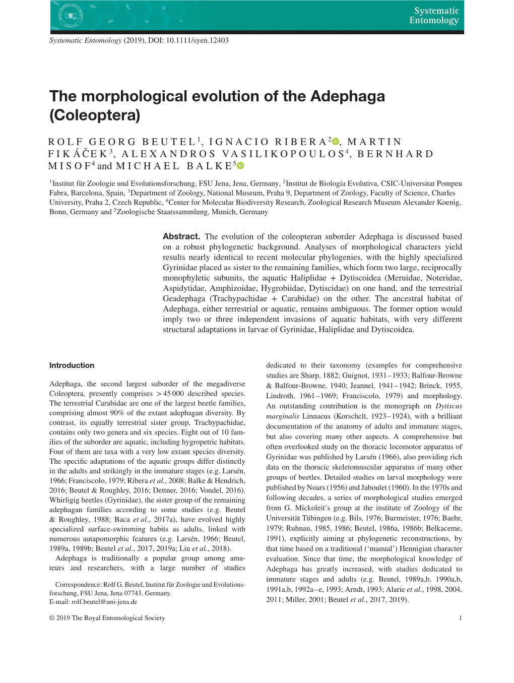 The Morphological Evolution of the Adephaga (Coleoptera)