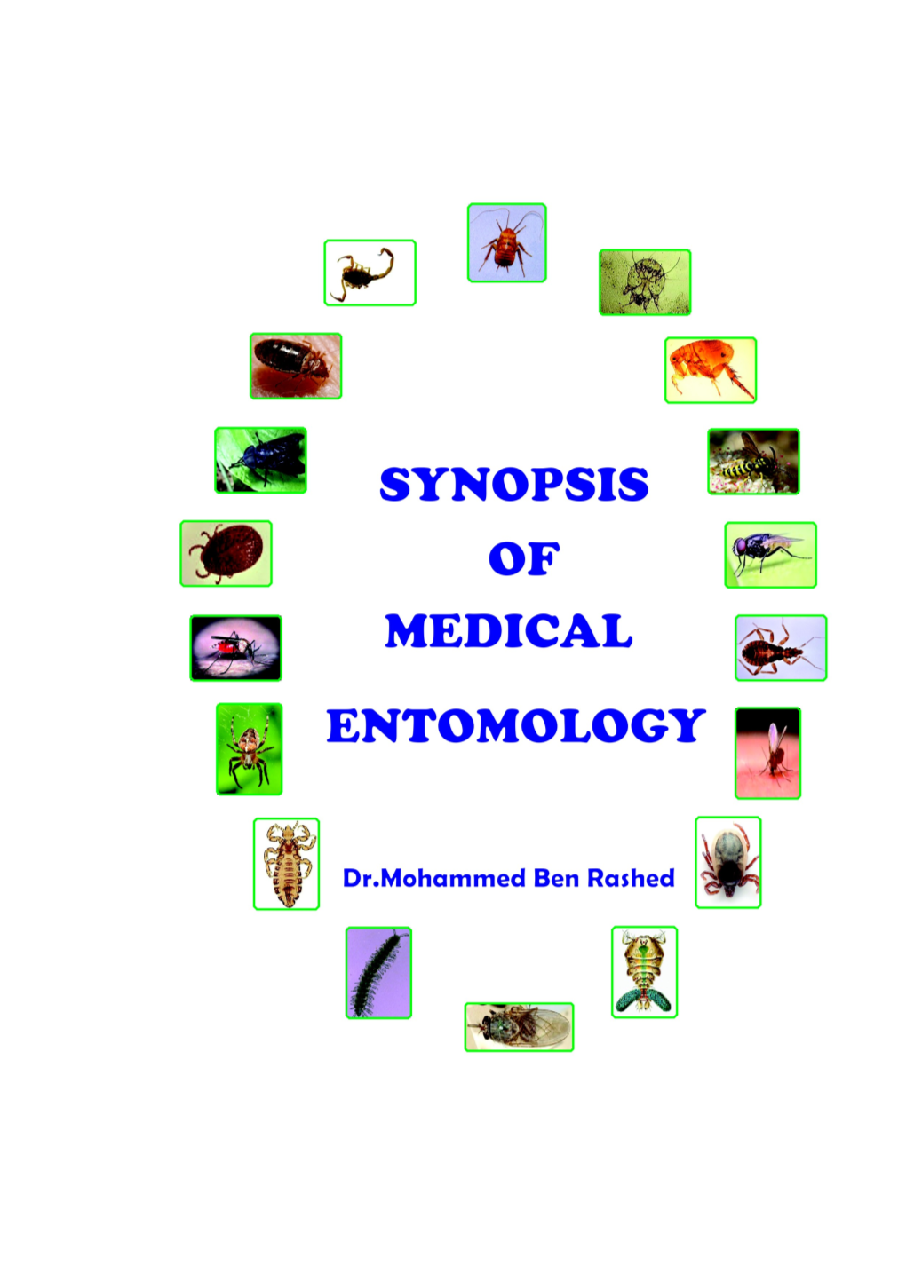 Introduction to the Class Insecta