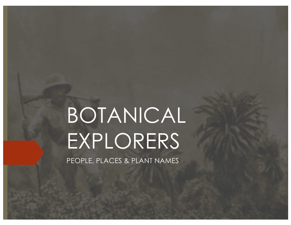 Botanical Explorers