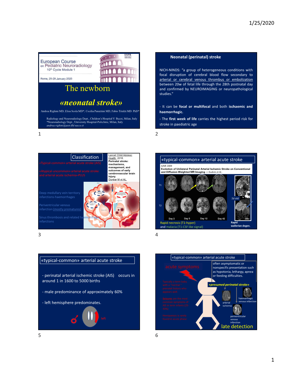 The Newborn «Neonatal Stroke»