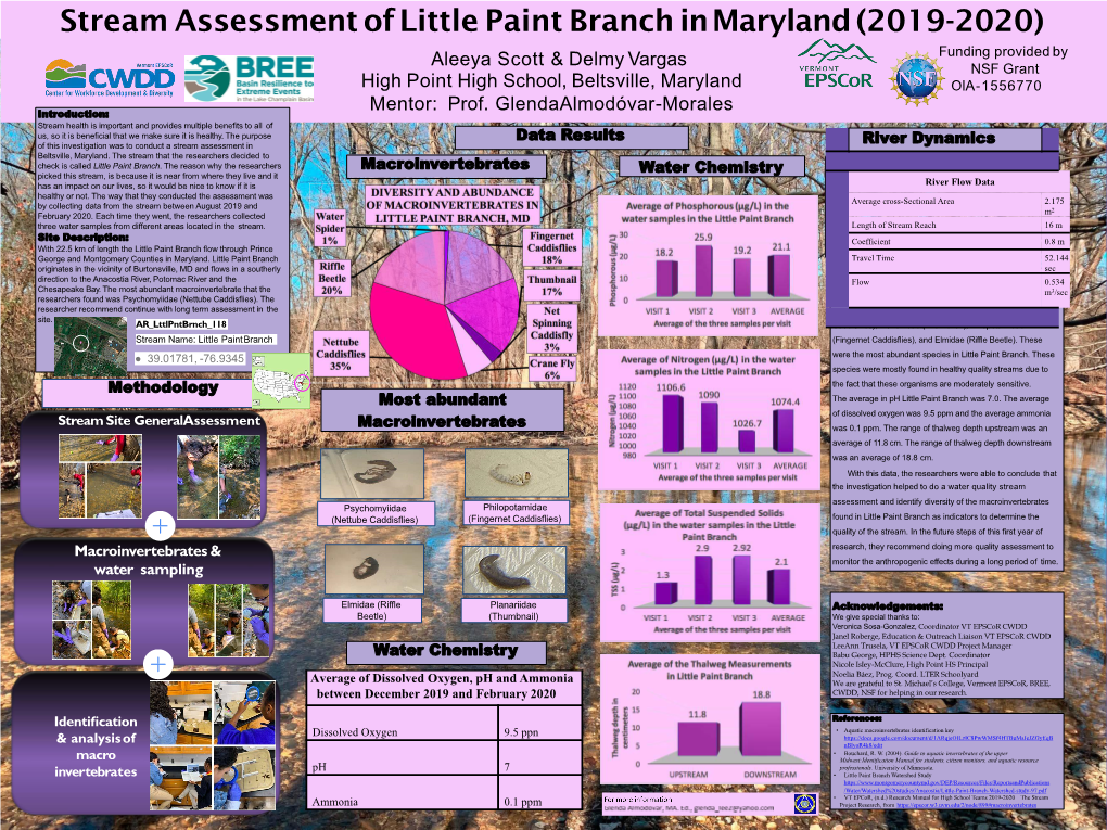 Stream Assessment of Little Paint Branch In