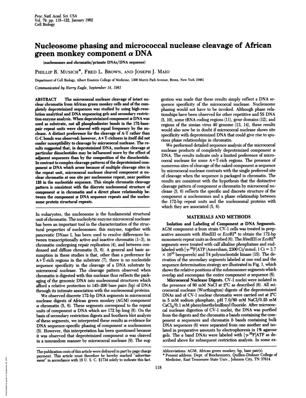 Nucleosome Phasing and Micrococcal Nuclease Cleavage of African Green Monkey Component a DNA (Nucleosomes and Chromatdn/Primate Dnas/DNA Sequence) PHILLIP R