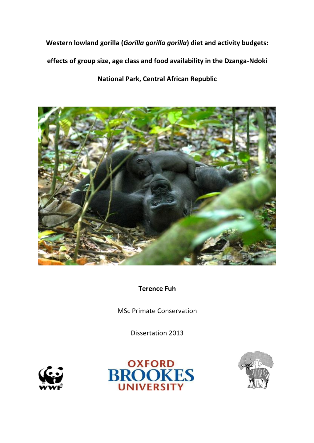 Western Lowland Gorilla (Gorilla Gorilla Gorilla) Diet and Activity Budgets: Effects of Group Size, Age Class and Food Availability in the Dzanga-Ndoki