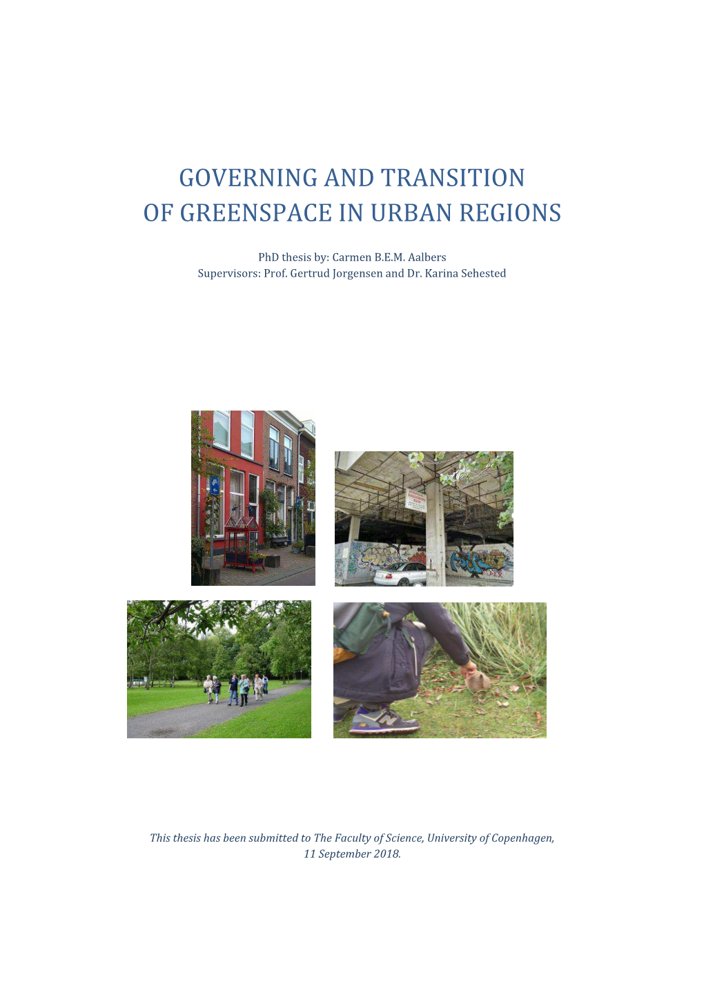 Governing and Transition of Greenspace in Urban Regions