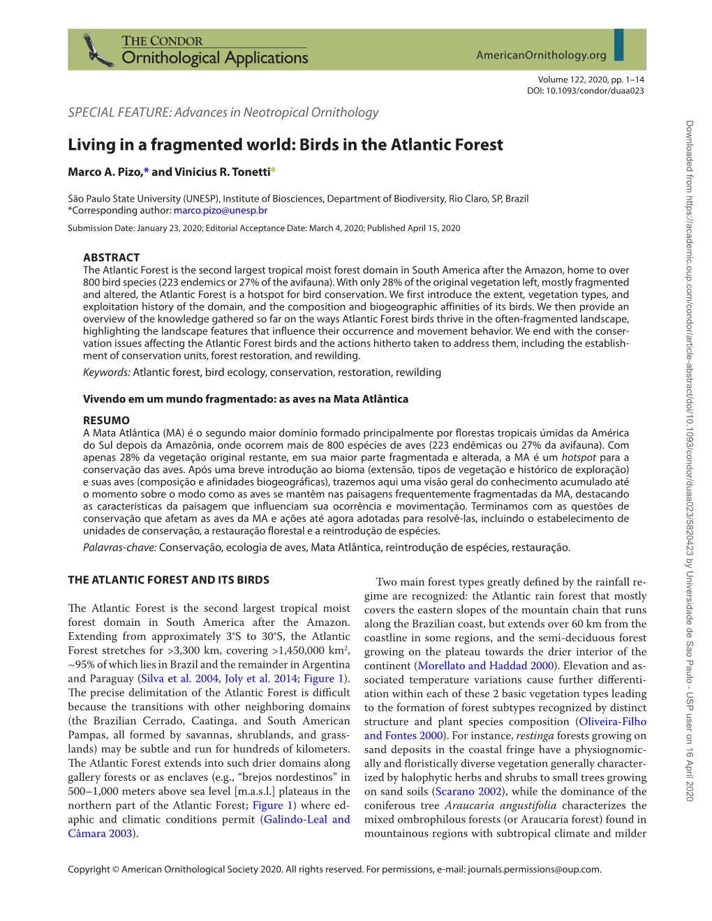 Living in a Fragmented World: Birds in the Atlantic Forest Marco A