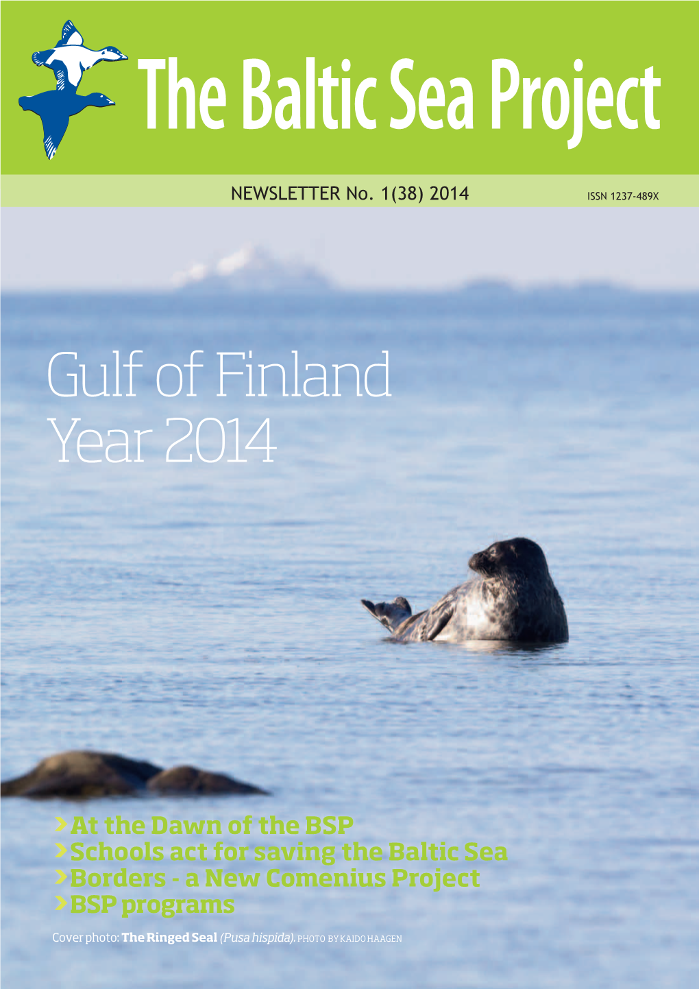 Gulf of Finland Year 2014