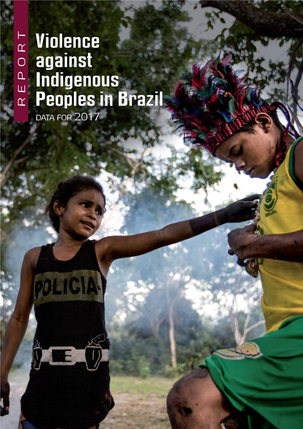 REPORT Violence Against Indigenous Peoples in Brazil DATA for 2017