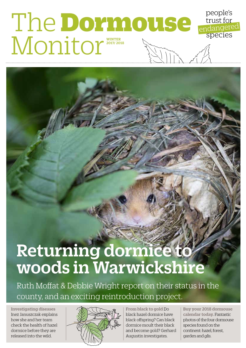 Returning Dormice to Woods in Warwickshire Ruth Moffat & Debbie Wright Report on Their Status in the County, and an Exciting Reintroduction Project