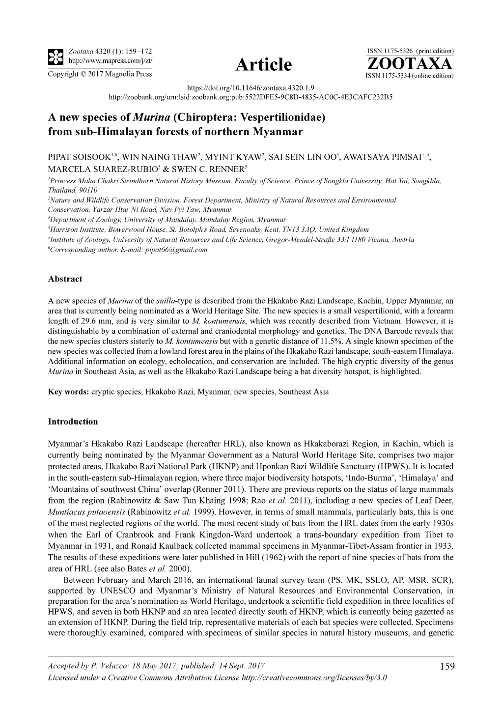 A New Species of Murina (Chiroptera: Vespertilionidae) from Sub-Himalayan Forests of Northern Myanmar