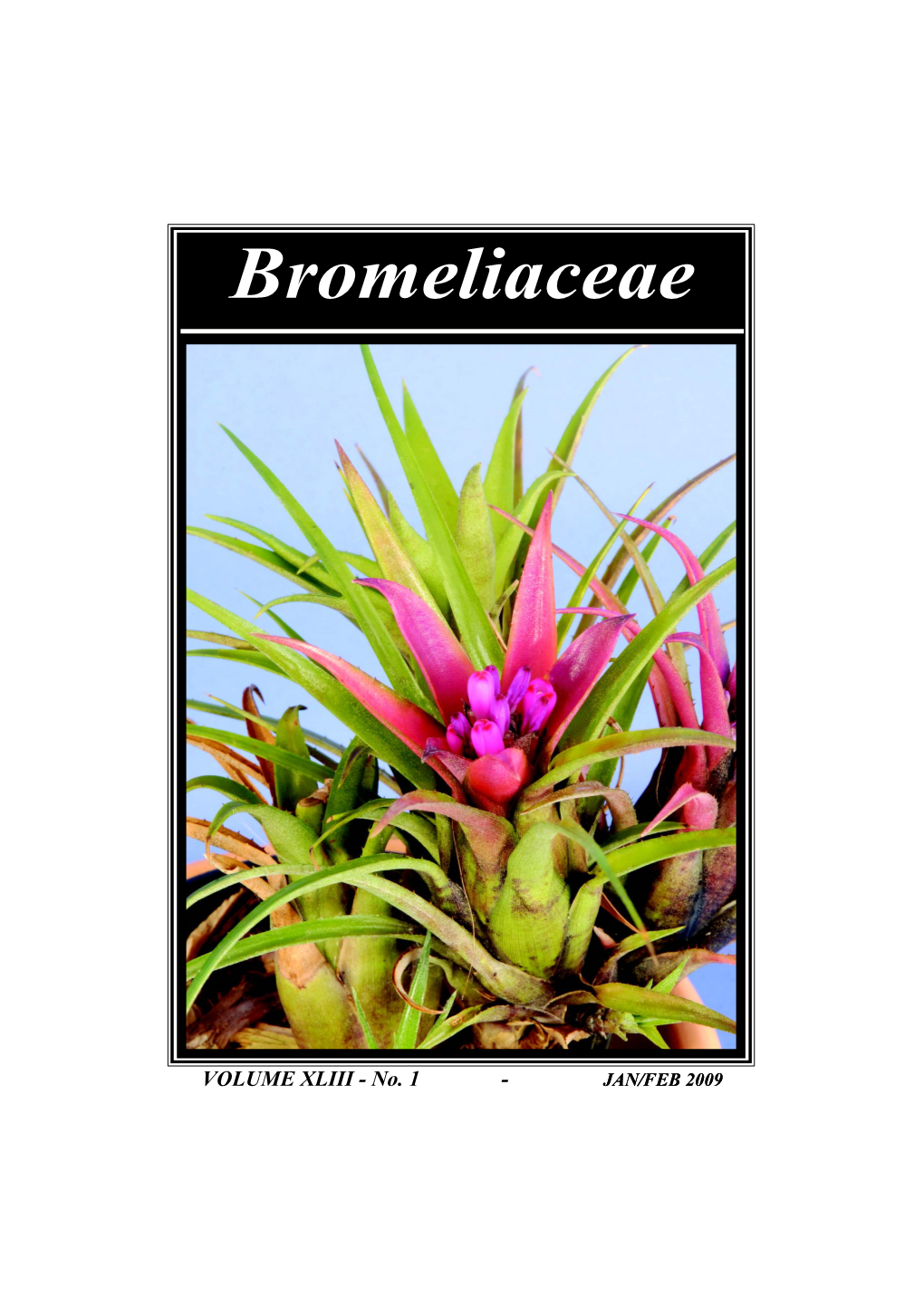Bromeliaceae