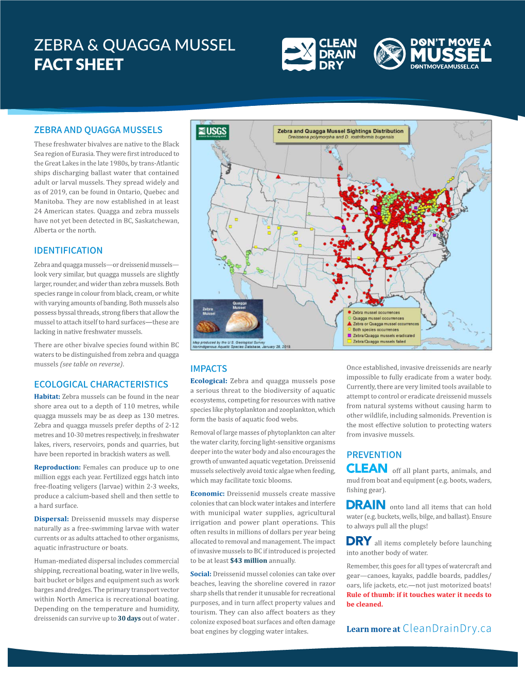 Zebra & Quagga Mussel Fact Sheet